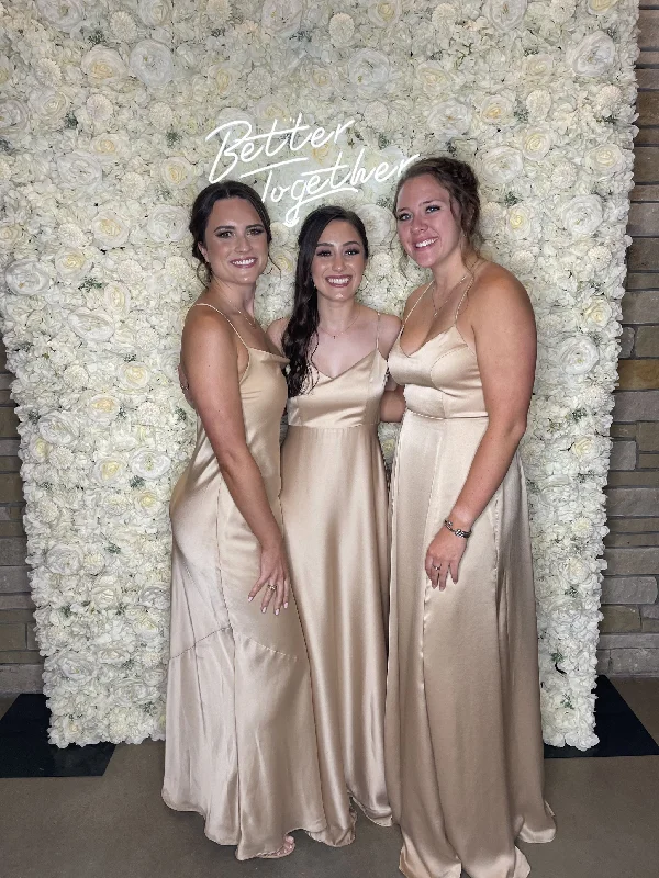 Steals and Deals Show Me Your MuMu Godshaw Goddess Gown