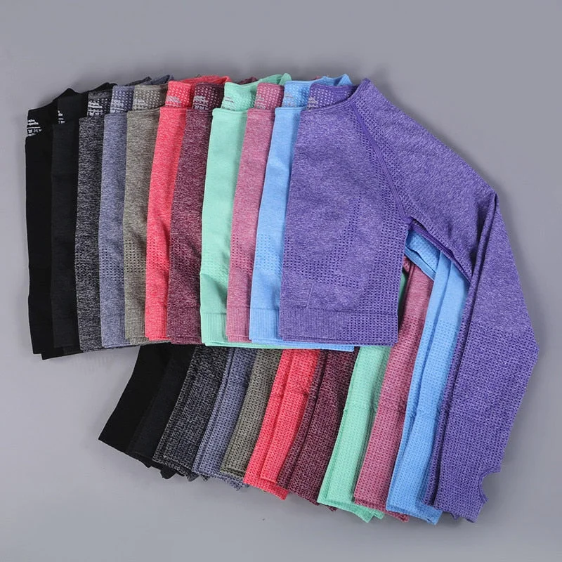 Don't Wait Yoganix New Seamless Yoga Crop Top long Sleeves Shirts for Women